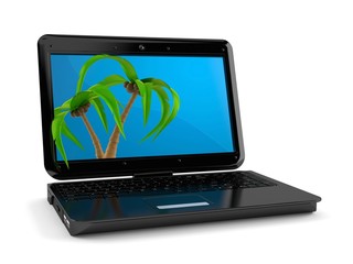 Palm tree inside laptop
