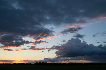 sunset over forest