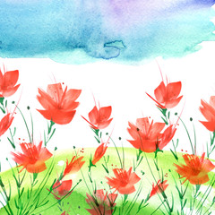 Watercolor painting. A bouquet of flowers of red poppies, wildflowers on a white isolated background. Hand drawn watercolor floral illustration, logo. Green grass,blue sky, hill, abstract paint splash