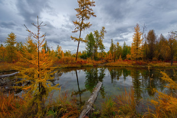 Fototapeta premium Russia. Magadan. The amazing beauty of the autumn of the Far East. The lake Maxi