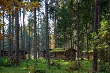 Obraz premium holiday cottages in the wood