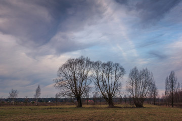 Landscape with willows and beautiful clouds somewhere in Masovia