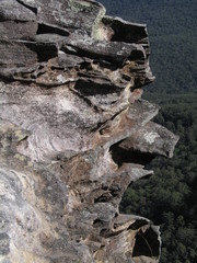 Nature in Australia. Blue Mountains Area