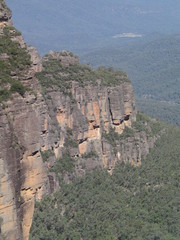 Fototapeta na wymiar Nature in Australia. Blue Mountains Area