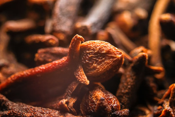 Dried cloves spice. Macro close up photography.