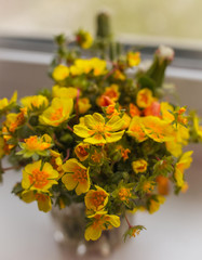 bouquet of yellow flowers in vase on green background