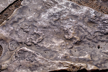 texture of stone