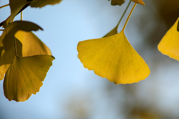 公園 20