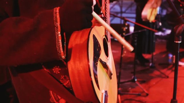 Stringed instruments. Hands playing a musical instrument