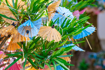 木に結んである傘みくじ　Japanese umbrella-shaped fortune telling slips tied up to the...