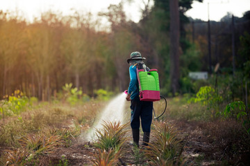 spraying pesticide