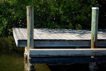 Fototapeta premium Side view of old boat dock, weathered, with barnacles and overgrown mangroves in Bonita Springs Florida.