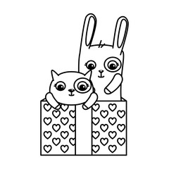 gift box present with cute cat and rabbit