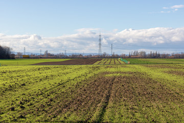 Fototapeta na wymiar empty fields in winter in countryside. nature in Frankenthal - Germany