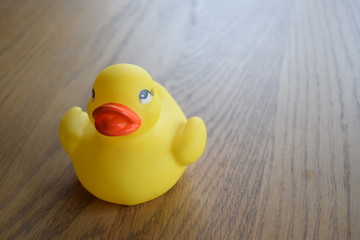 rubber duck