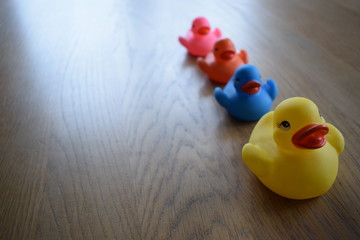 rubber duck