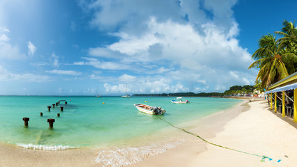 Saint Anne beach, Guadeloupe, French West Indies, panoramic view. - obrazy, fototapety, plakaty