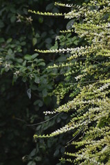 bouquet of pink flowers