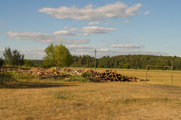 Firewood and green trees in the field. Suburb. Grey clouds in the sky. Summer 
