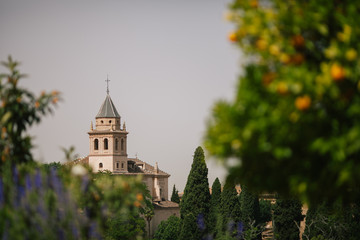 La Alhambra Granada