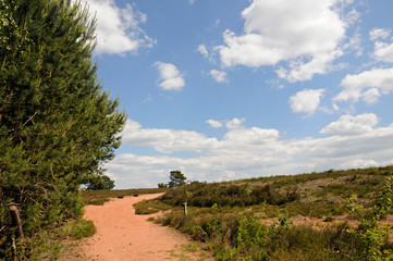 weg in der mehlinger heide