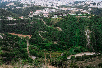 Landscape with green trees, mountains and city
