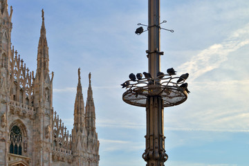 veduta di alcuni angoli di Piazza del Duomo a Milano