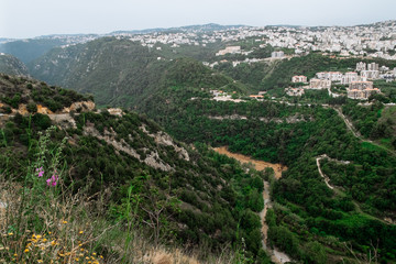 Landscape with green trees, mountains and city