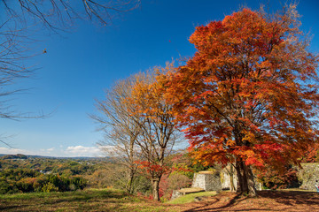秋の岡城址の眺め【大分県】