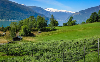 Fototapete bei efototapeten.de bestellen   