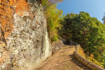 秋の岡城址の眺め【大分県】