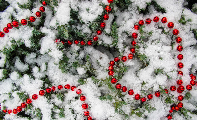 The texture of many conifer tree branches covered with snow and red beads. Heart shape from beads. Background for Christmas, New Year, Valentines day.