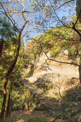 秋の岡城址の眺め【大分県】