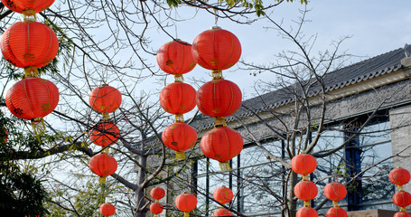 Red lantern for lunar new year
