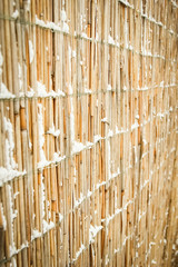 bold fence in winter on nature in the park background