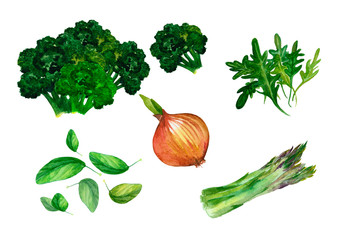 Hand drawn watercolor set of fresh vegetables 