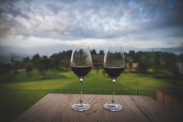 Drinking wine at beautiful garden outdoor sky mountains scenery views 