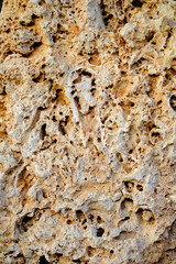 texture of old wall