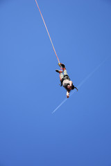 Bungee jumping from crane during Sofia Extreme Sports Festival. Man hanging on a cord high in the blue sky. White airplane trail seen at distance 
