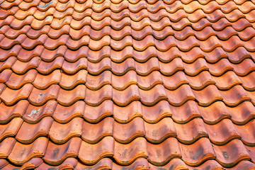 Red tile roof as a background.
