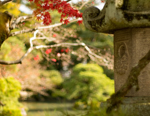 Stone lantern with autumn leaves 1