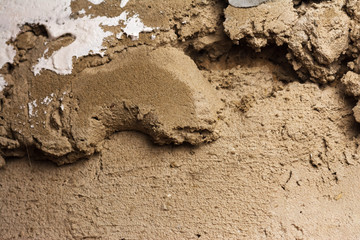 texture of the masonry wall of the cockleshell relief close-up background