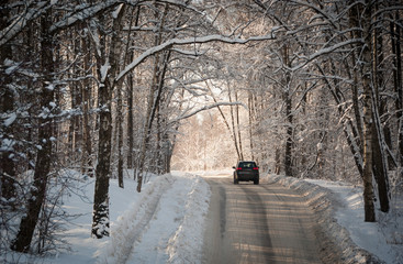 Сar goes on the road through the snowy forest in winter sunny day