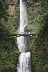 The Multnomah Falls III