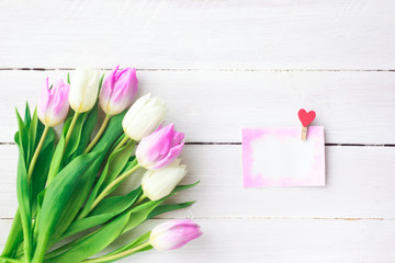 White and purple tulips on a white wooden background. Spring. International Women's Day. Valentine's Day. card ,Selective focus.