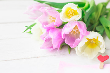 White and purple tulips on a white wooden background. Spring. International Women's Day. Valentine's Day. Selective focus.