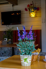 Decoration with flowers in cafe.