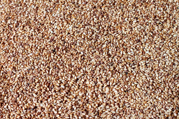 sesame seeds