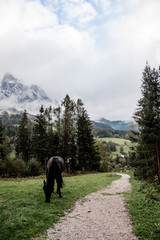 Fototapeta premium Mountain View III