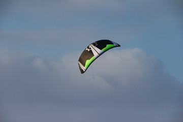 kite in the sky